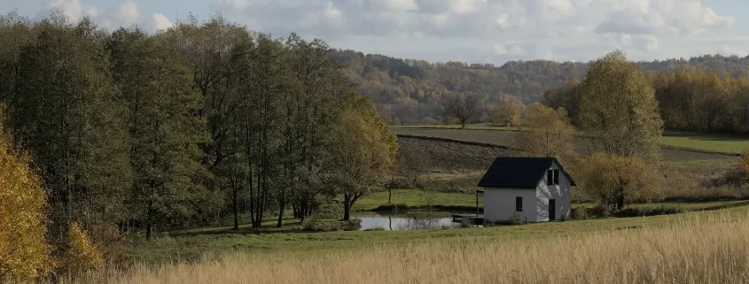 Farmland on a sunny day