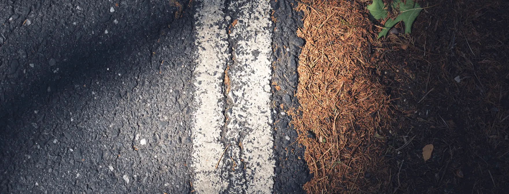 A close up on a road at night time