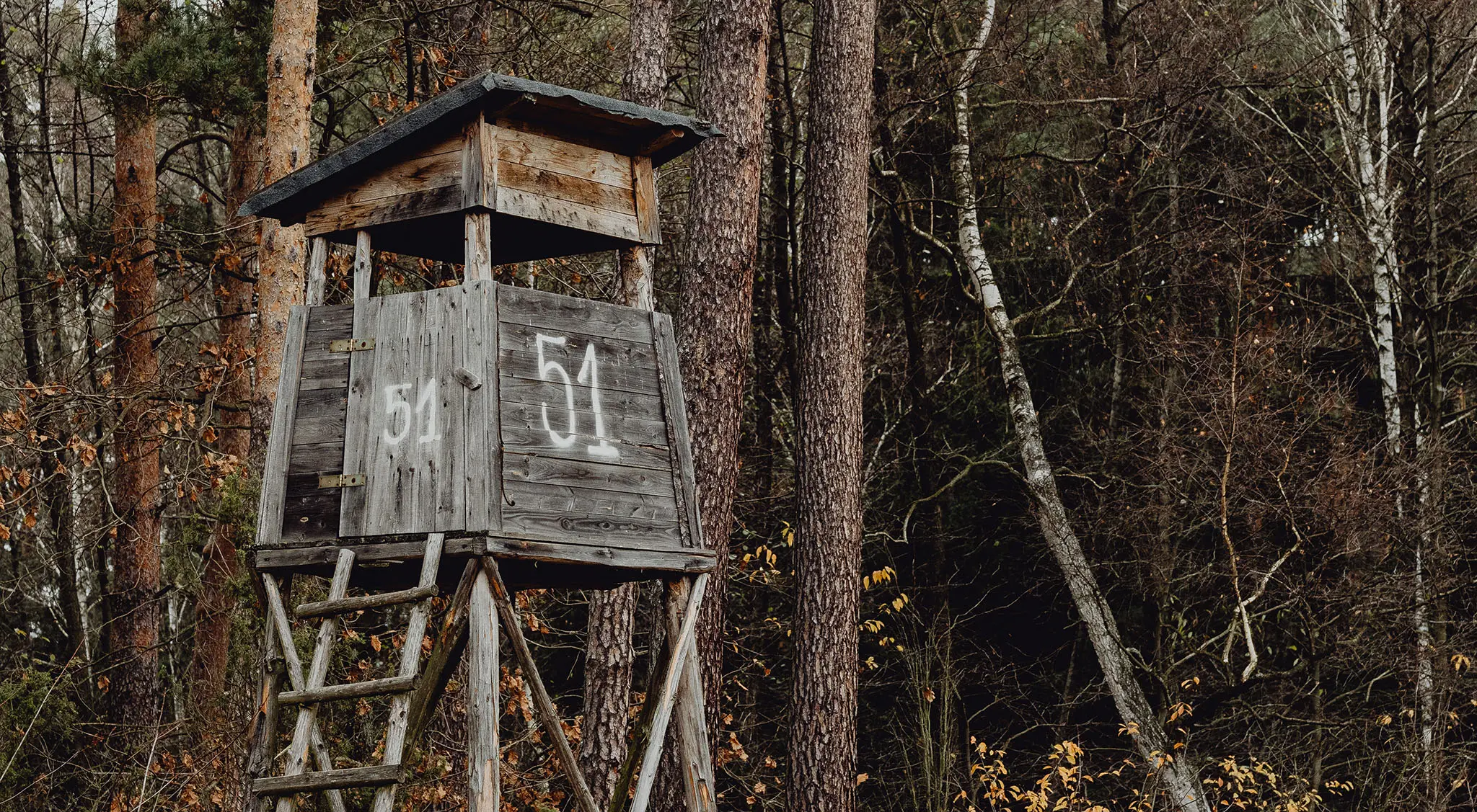 A hunting blind in the woods