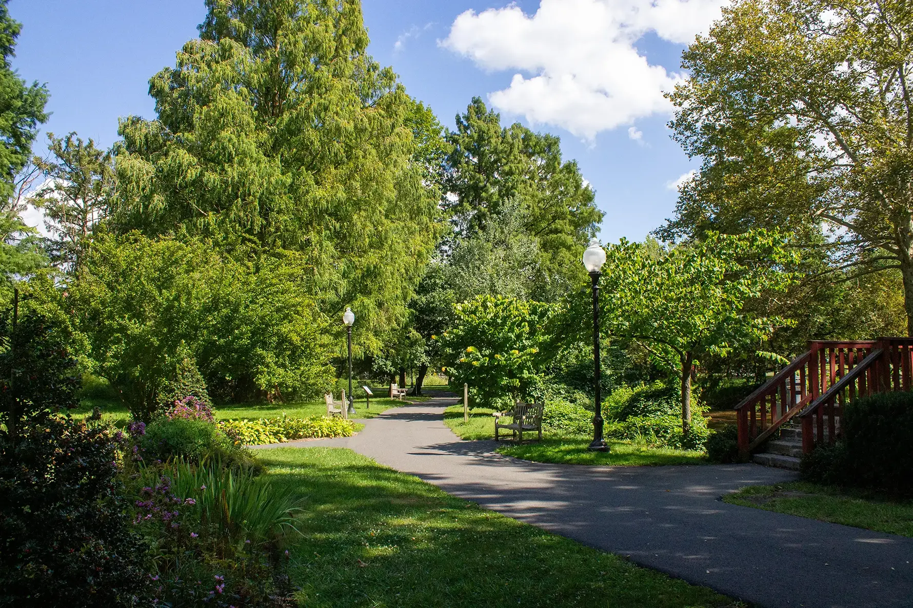 Reading Museum Arboretum on a sunny day.