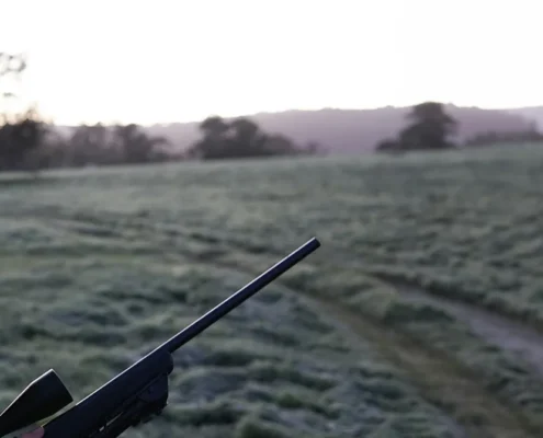 A hunter carrying a rifle and looking at a field