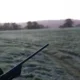 A hunter carrying a rifle and looking at a field